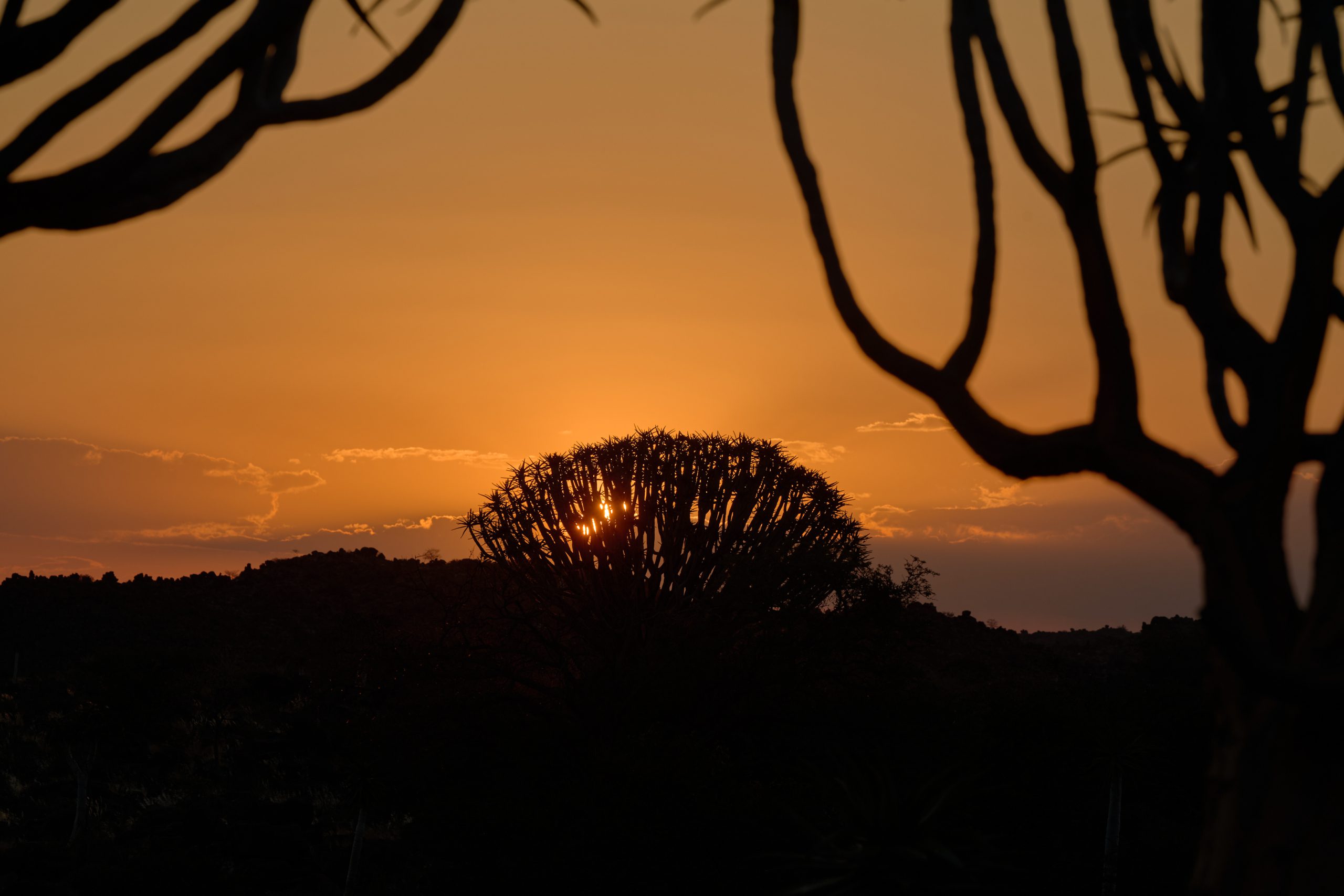 Namibia-2024-CA4_3194