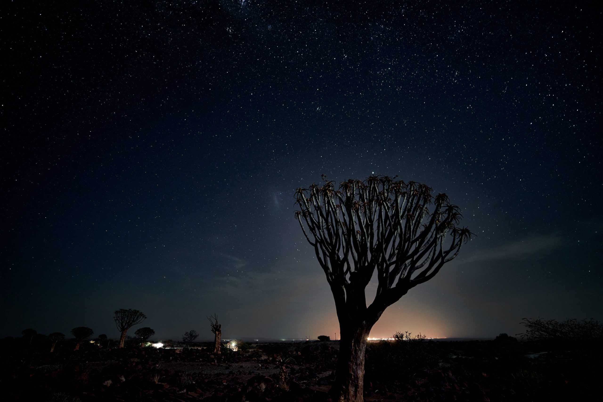 Namibia-2024-CA4_3213