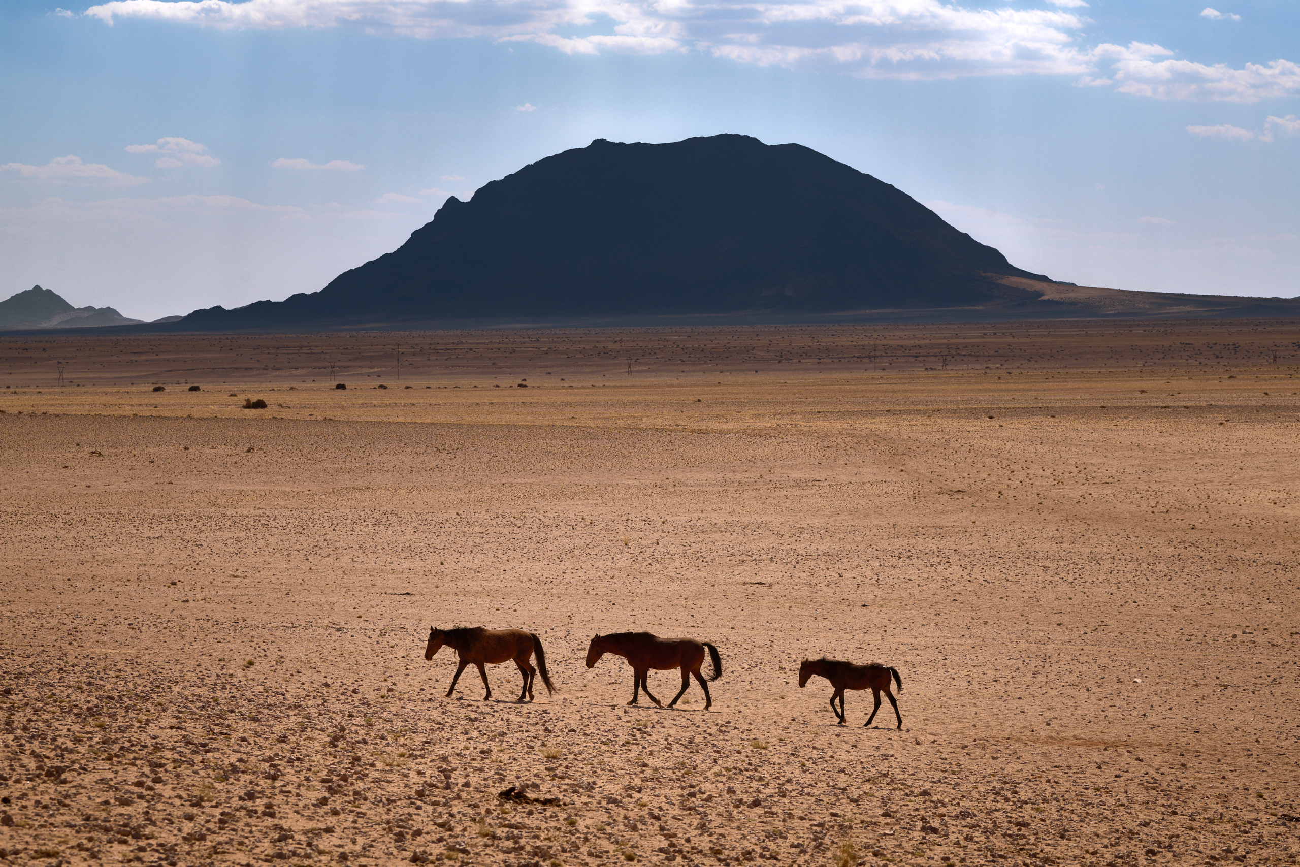 Namibia-2024-CA4_3258