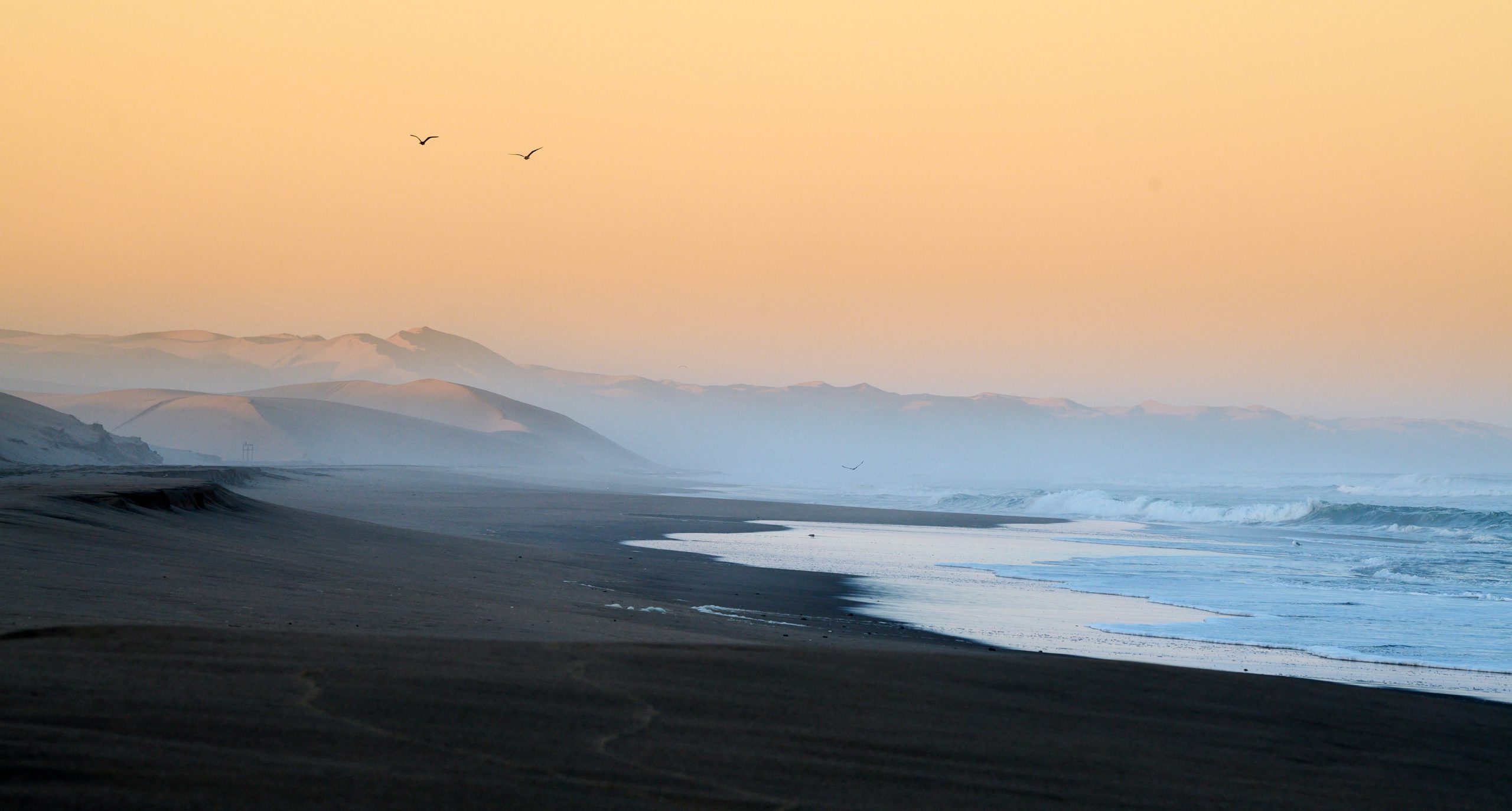 Namibia-2024-CA4_3632