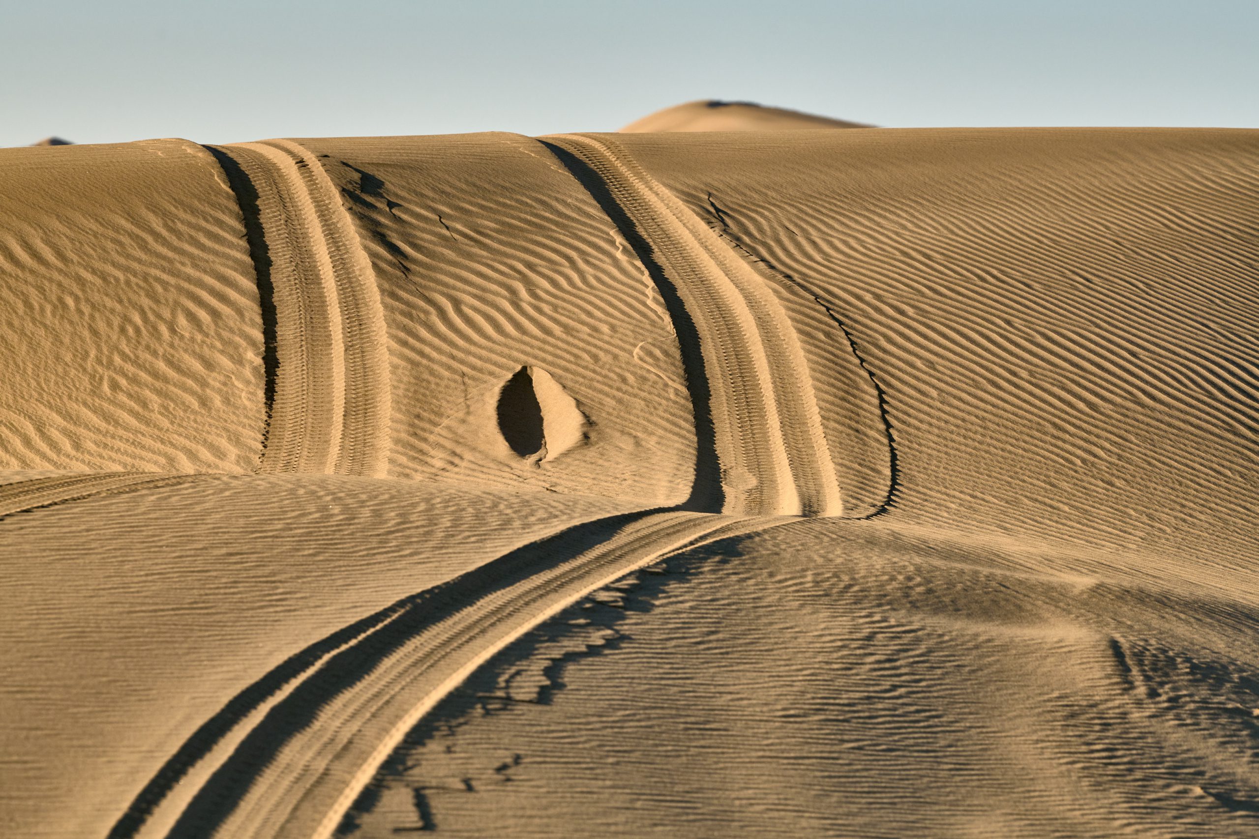 Namibia-2024-CA4_3675