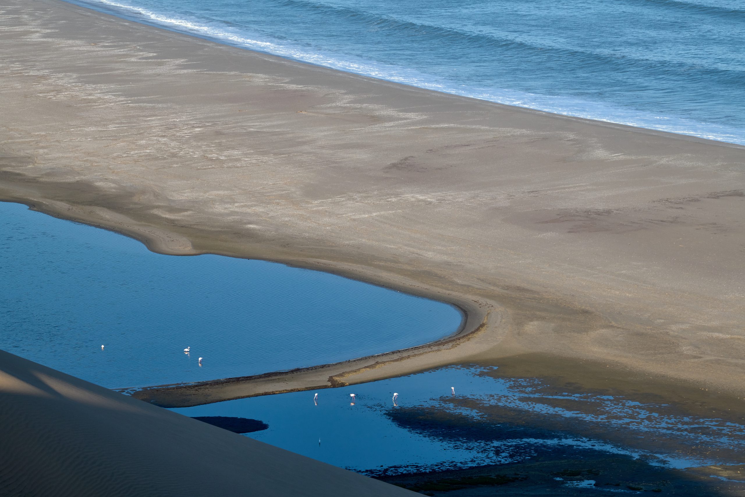 Namibia-2024-CA4_3679