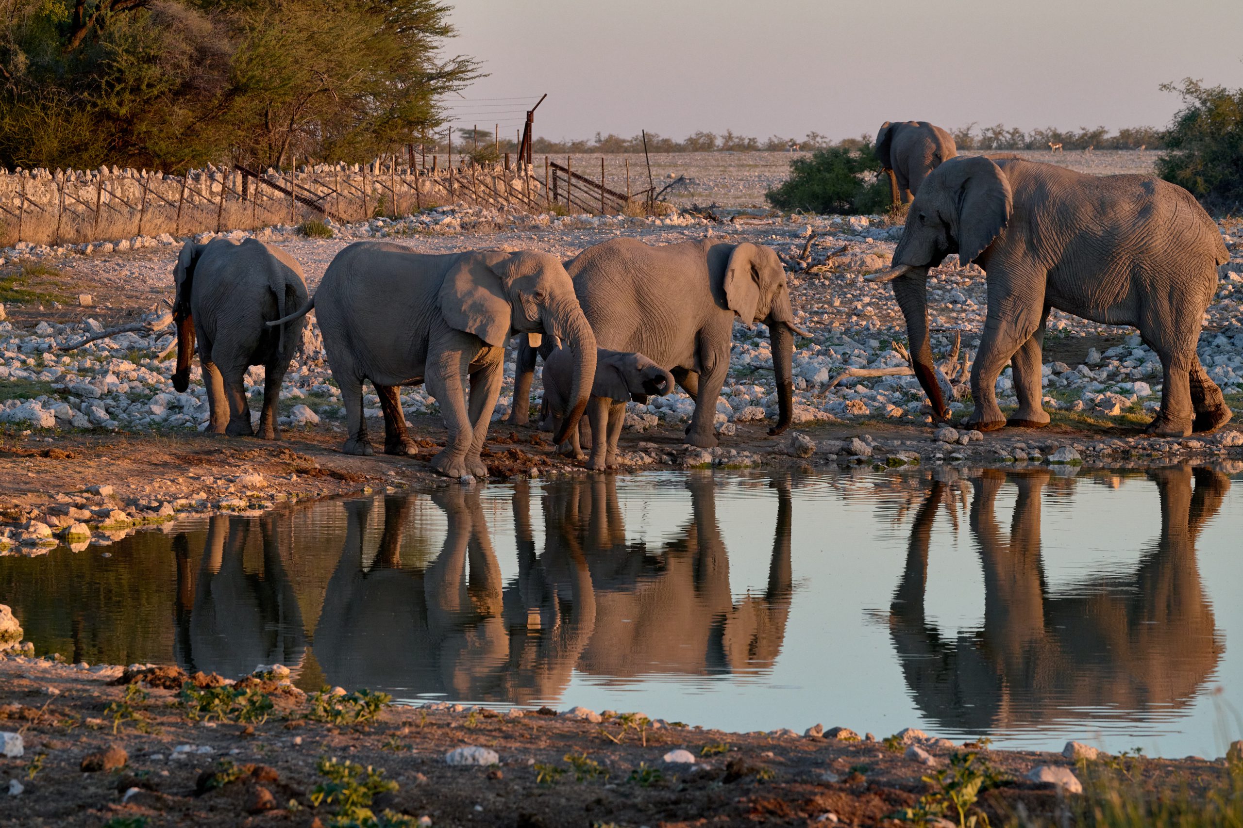 Namibia-2024-CA4_4195