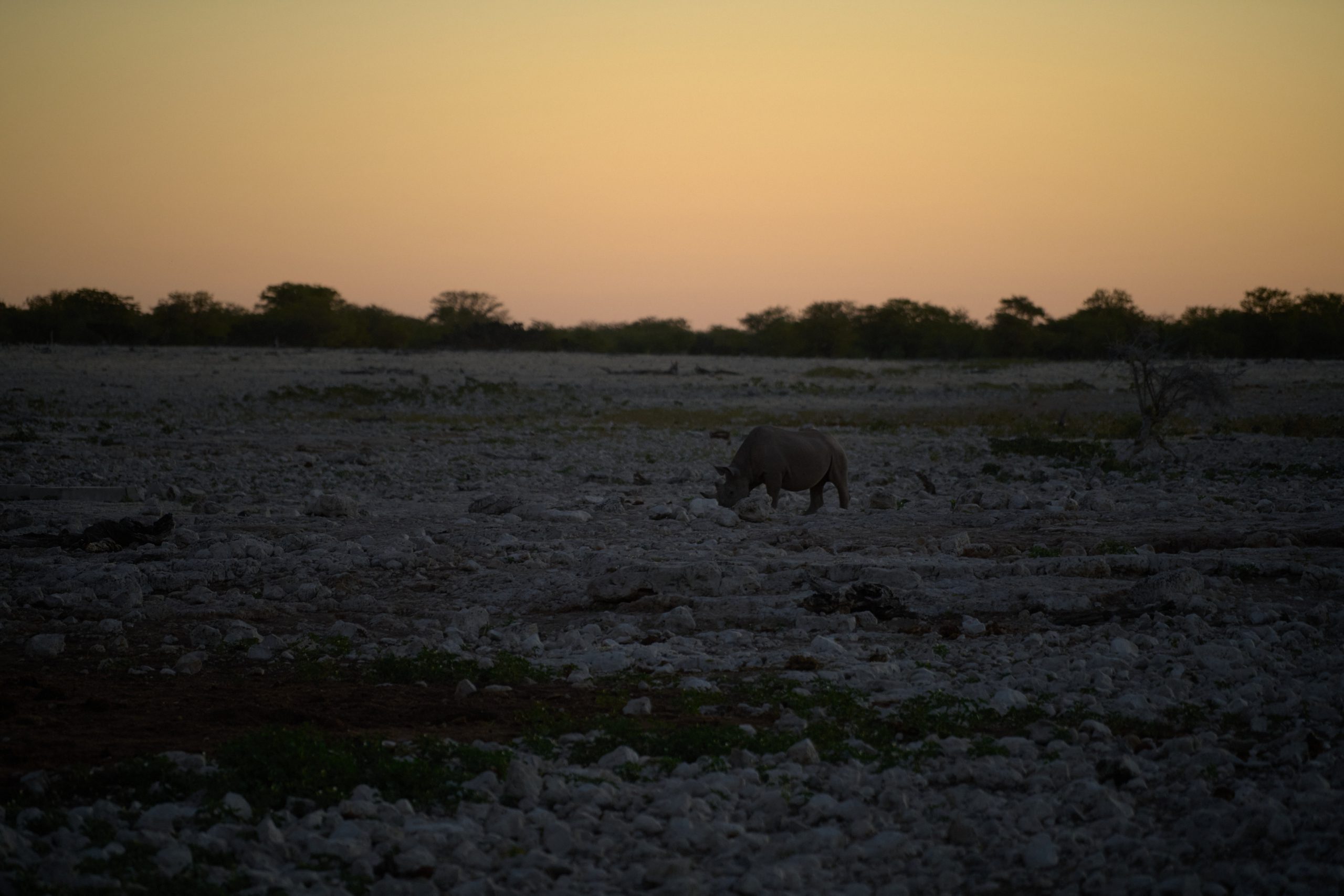 Namibia-2024-CA4_4204