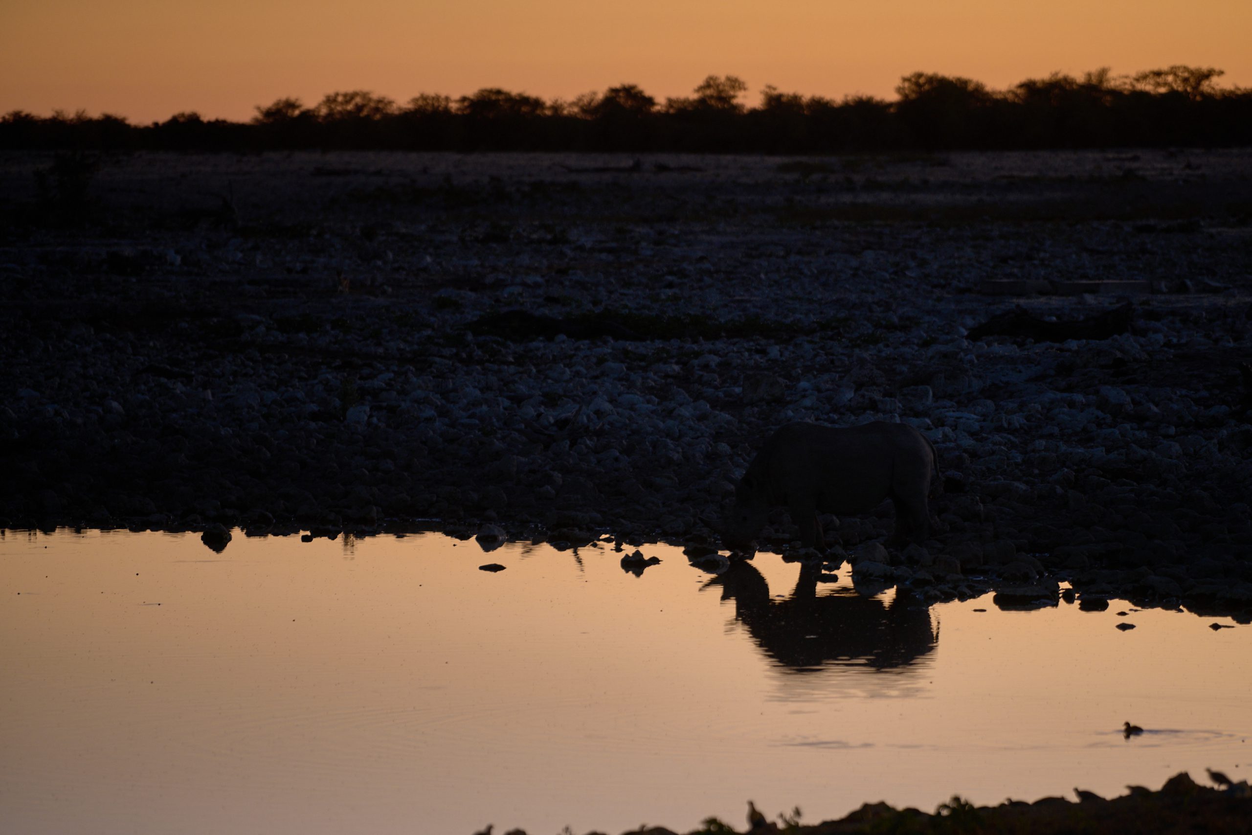 Namibia-2024-CA4_4213